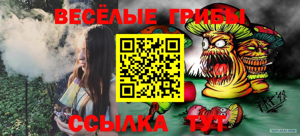 где купить   Вход с VPN  Верхний Уфалей  Псилоцибиновые грибы мицелий 