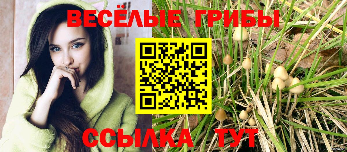 Галлюциногенные грибы прущие грибы Верхний Уфалей